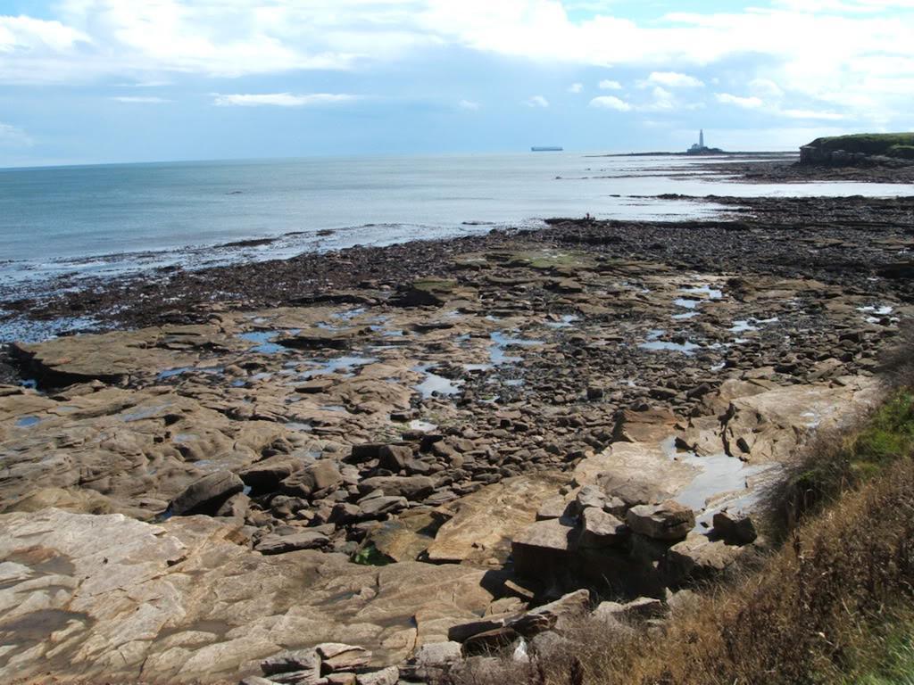 Lighthouse Guest House Whitley Bay Zewnętrze zdjęcie